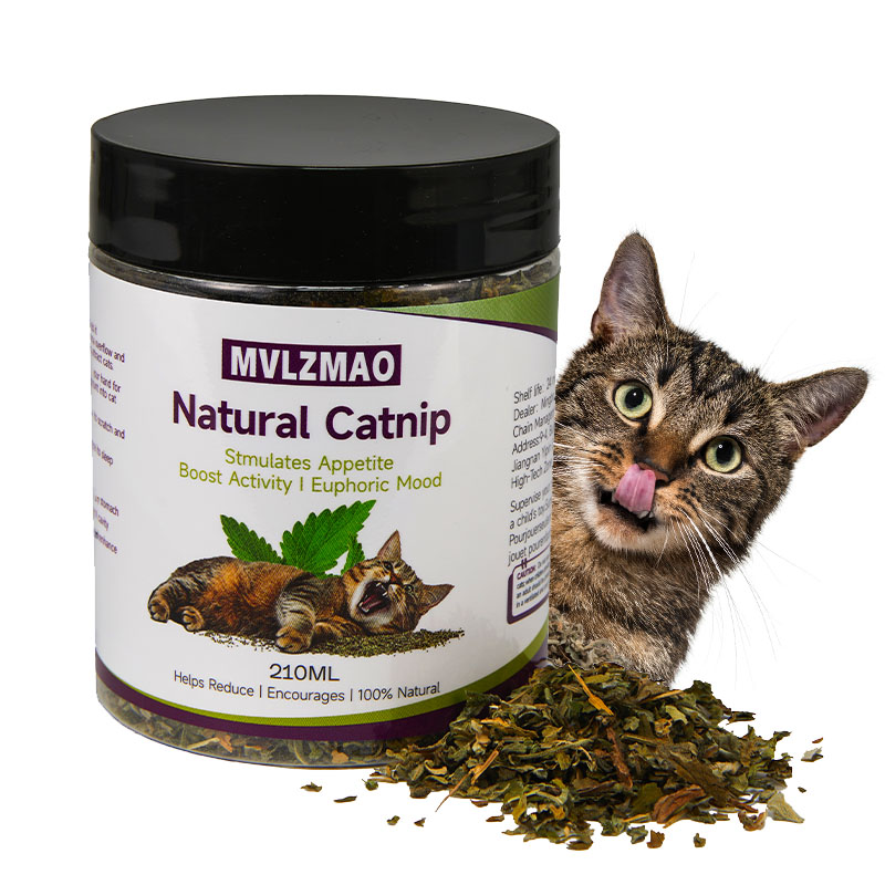 Nettle Leaf Tea - Juguetes para gatos: hierba gatera plateada