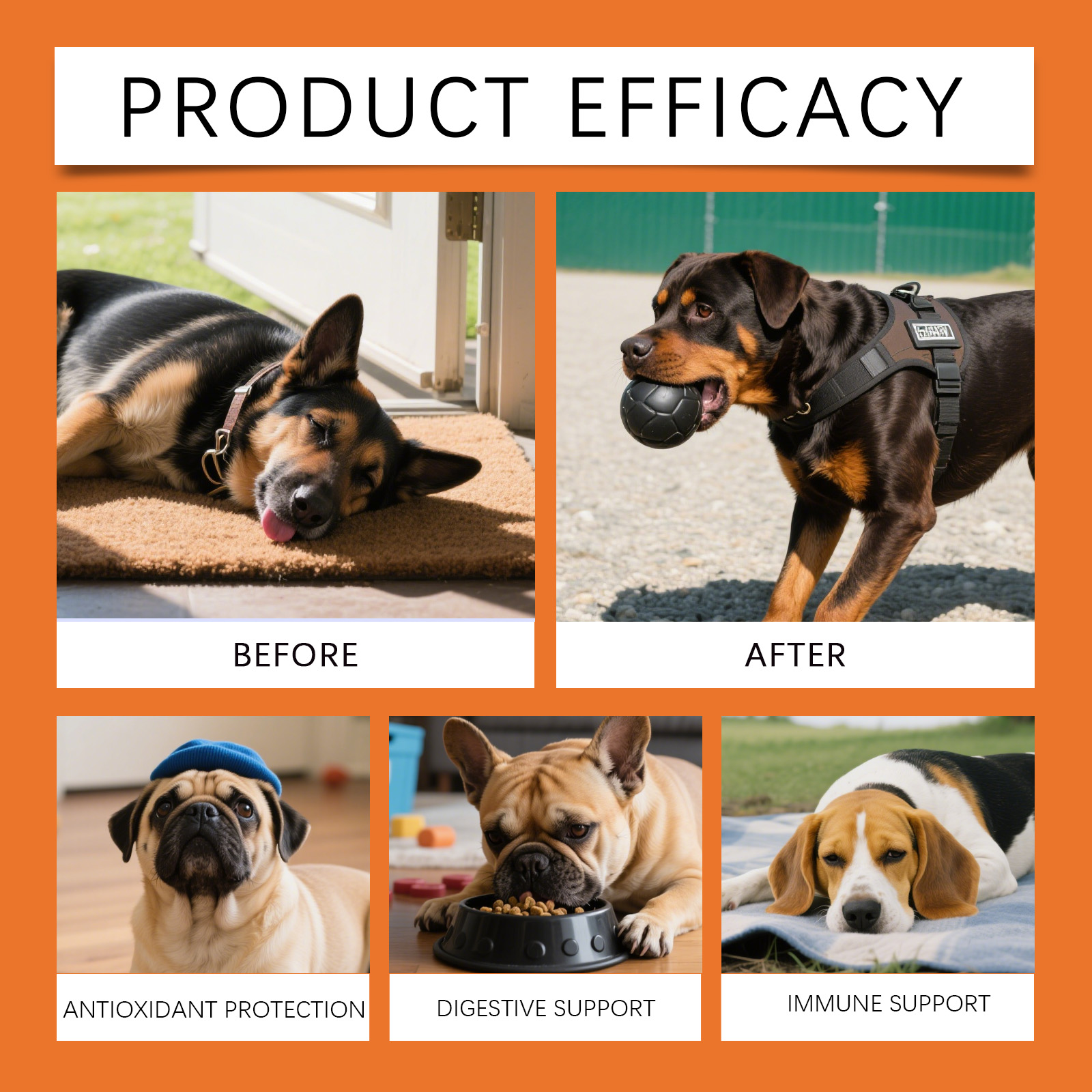 Gotas Herbales para Perros - S - Herbal Wellness Drops reseña y precio