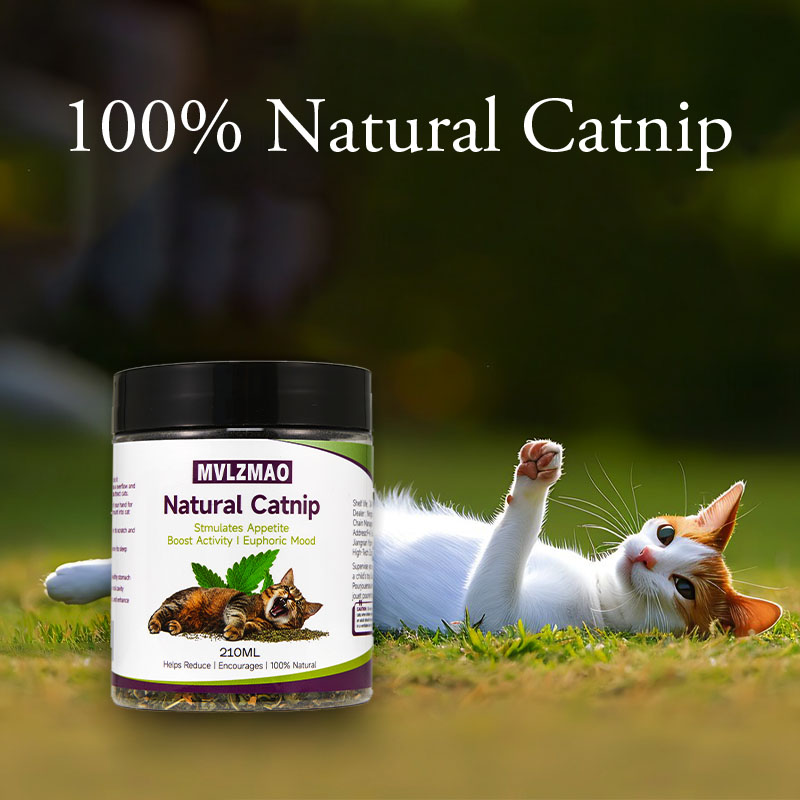 Juguetes para gatos: hierba ga - Nettle Leaf Tea reseña y precio