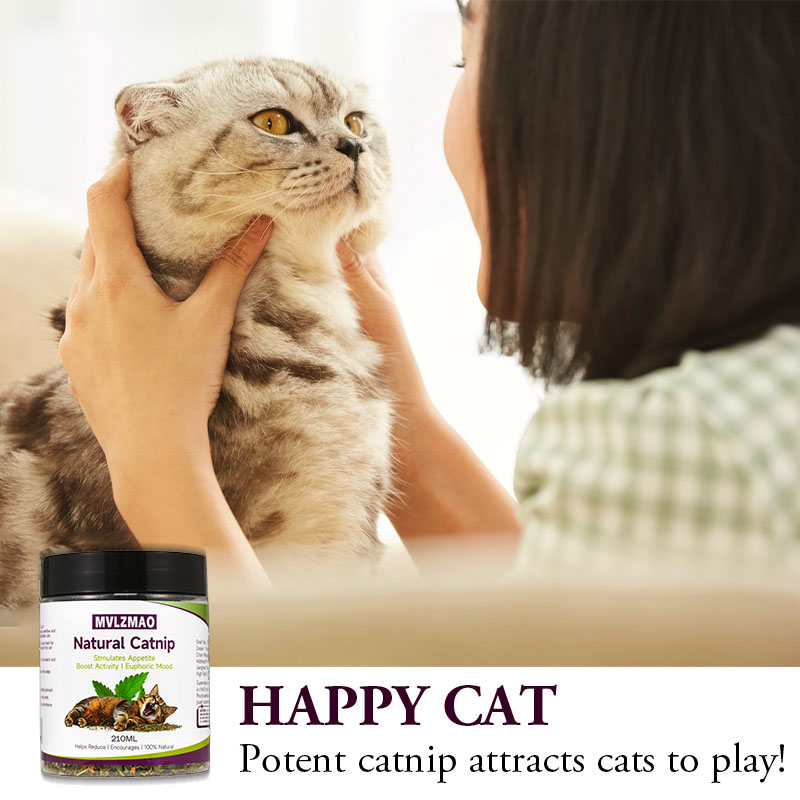 Juguetes para gatos: hierba ga - Nettle Leaf Tea reseña y precio